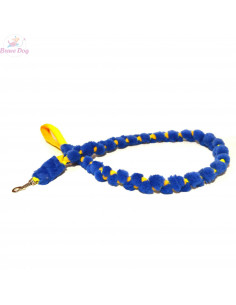 Agility dog leash