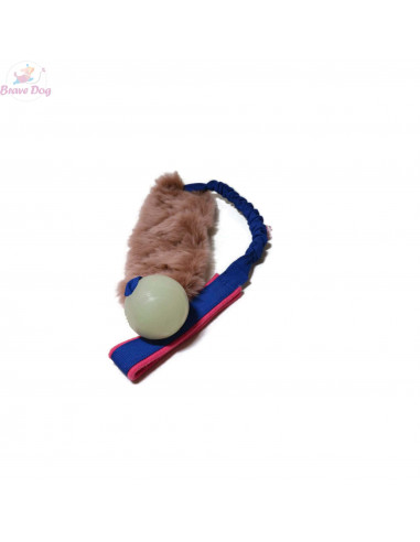 Glowworm