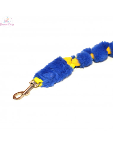 Agility dog leash