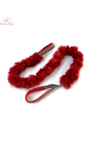 Dog leash with collar