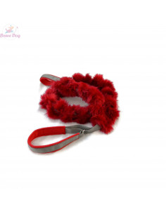 Dog leash with collar