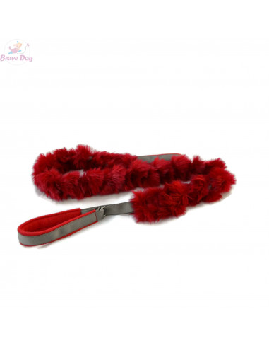 Dog leash with collar