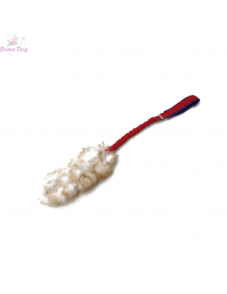 Small Dolly Small Dolly