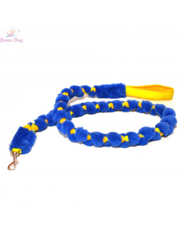 Agility dog leash