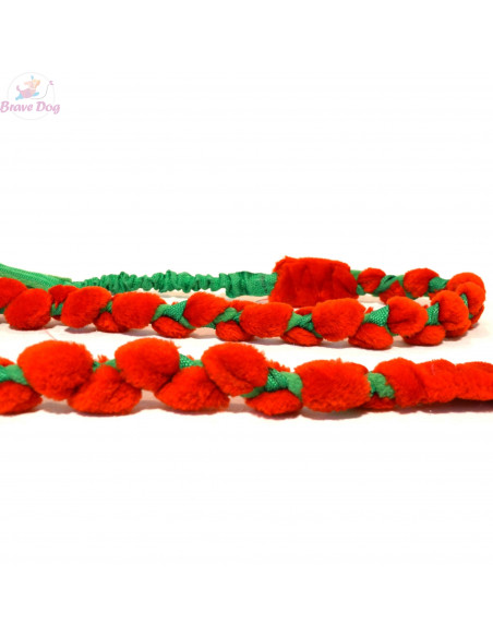 Agility dog leash Agility dog leash