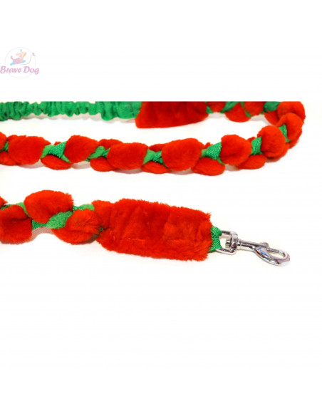 Agility dog leash Agility dog leash